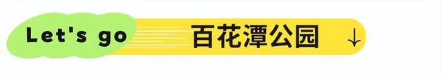 地铁直达！免费！成都20个绝美赏秋地，银杏水杉梧桐红枫限时上演！就在家门口！
