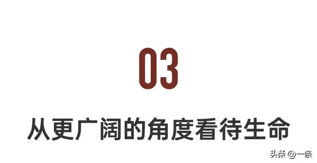 中国95后，爱上逛墓园