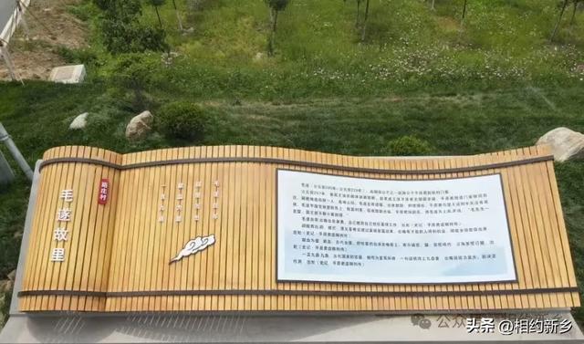 这个秋天,回“乡”看看