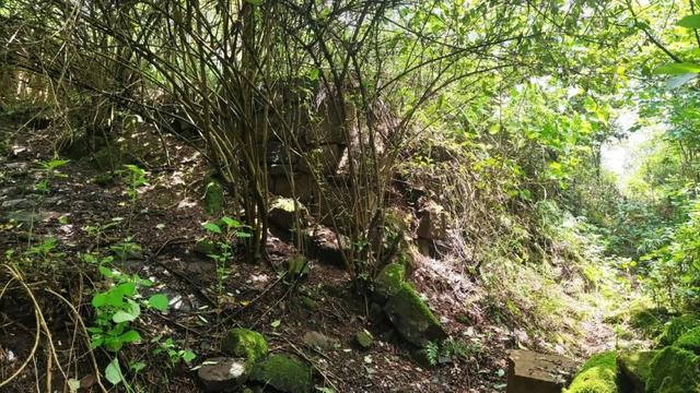 重庆北碚有一座濒临消失的古寨，寨主竟曾是美国总统罗斯福的同学