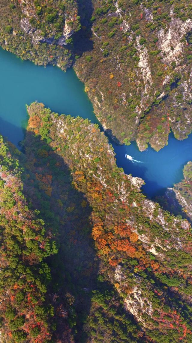 河南秋景大片，来了！（请横屏观看）