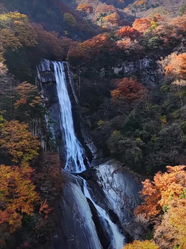 2025年的秦岭山麓依旧迷人