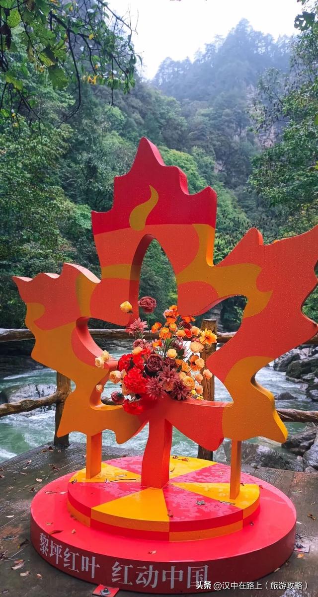 这个秋天，与黎坪红叶撞个满怀！