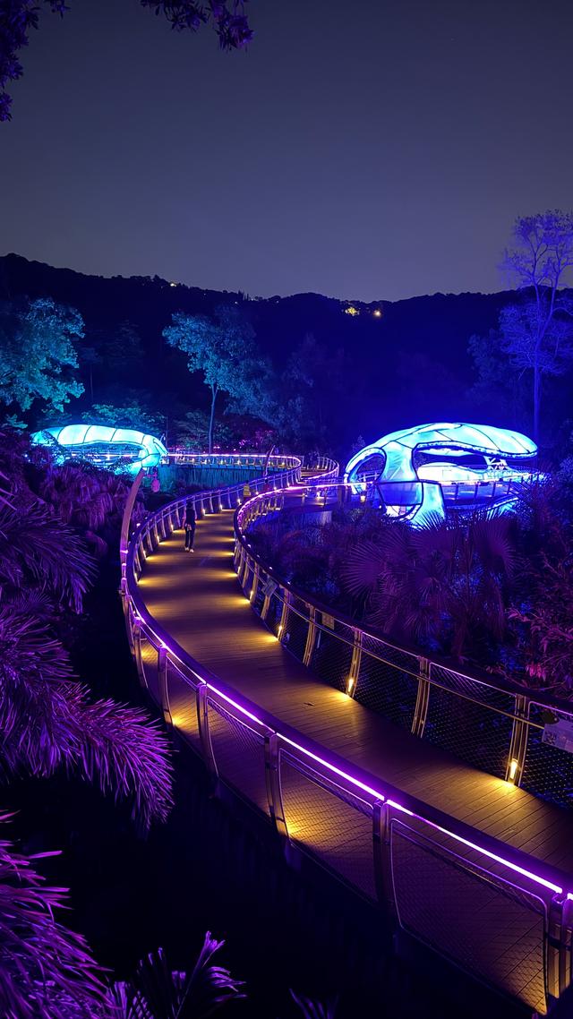 广州亲子研学，夜游植物园，走进大自然的夜课堂