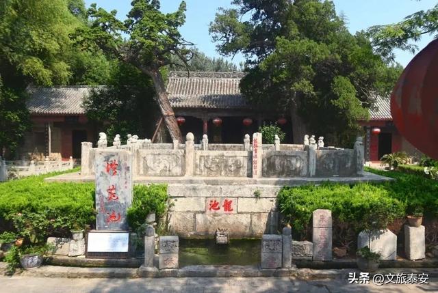 得劲儿！济泰自驾绝美路线上新！对“水韵古村”的所有想象满足啦~