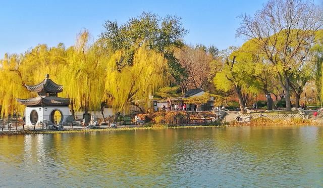 狂风散尽现碧空 北京市民陶然亭公园共赴“大风蓝”之约