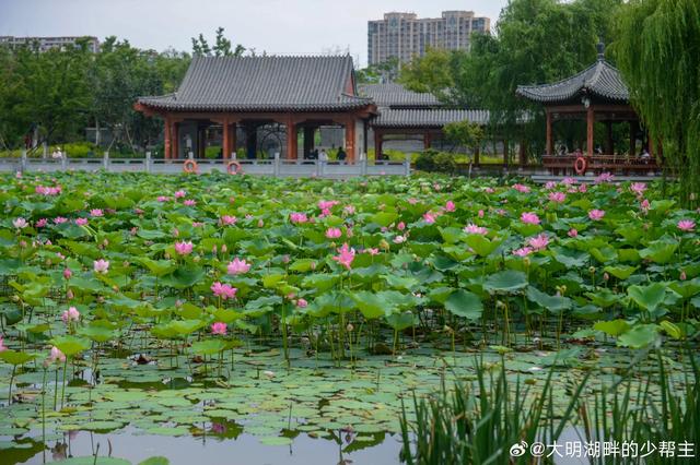 济南山下的这个免费公园此时太美了,好多人喜欢去!