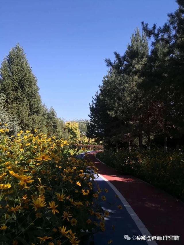 新疆之行（九）博乐，一座令人心动的宜居城市