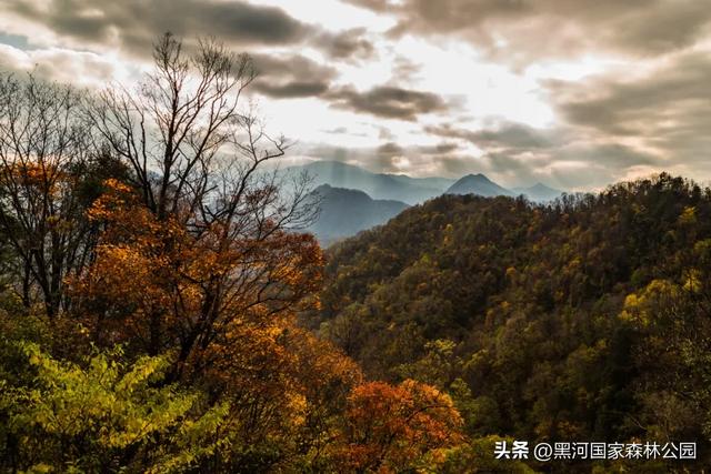 中秋快乐,云赏黑河 | 接下来的几个月,这片秘境将美成童话