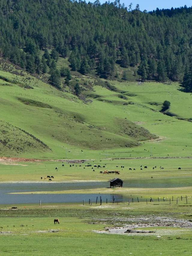 一生总要走一次的秘境之路！“上帝浏览的花园”藏着怎样的魔力？
