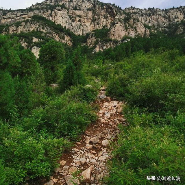 &056.炎炎烈日哪里去--张夏洞府天