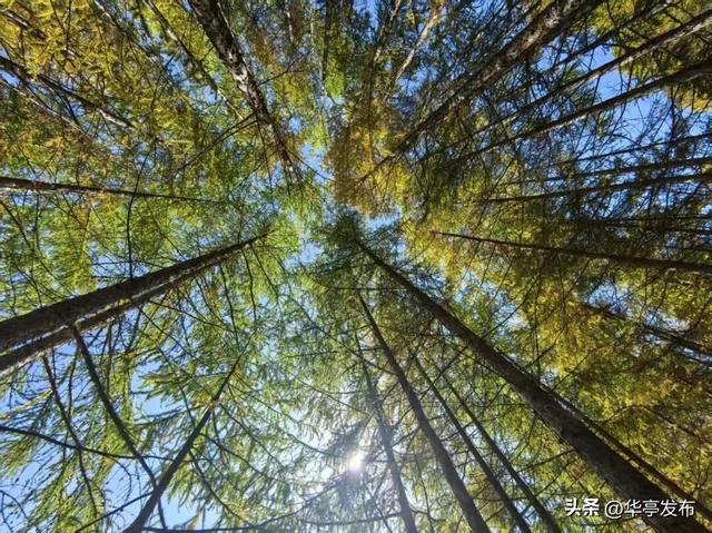 马峡镇车厂沟村：守一库碧水映青山 绘就生态宜居新画卷