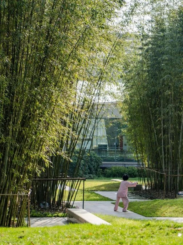 暂时闭馆前，再去金沙遗址看一眼太阳神鸟