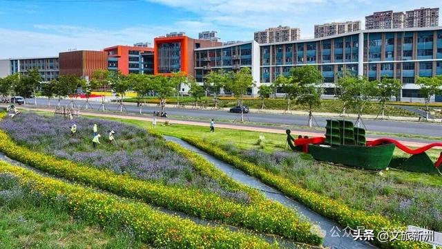 双节畅游新洲 | 粉的、紫的、金黄的…...新洲花海美成秋天童话！国庆假期来打卡~