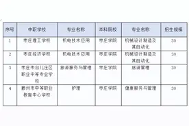 “3+4” 直通本科新路子，枣庄初中生看完直接闭眼冲！图片