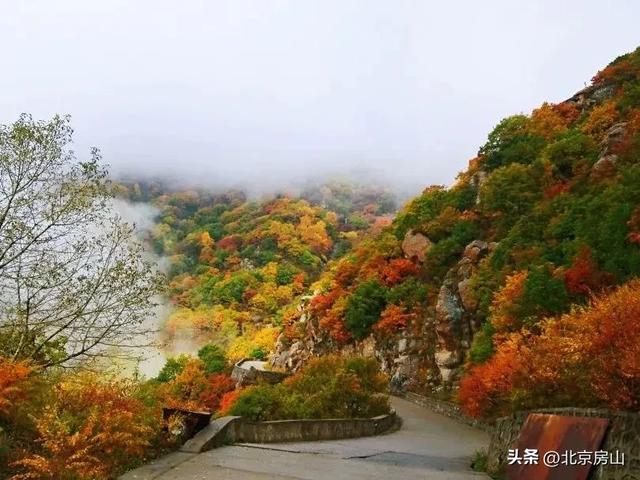 别等了！房山的秋景已经悄悄“上妆”了🤩🤩🤩