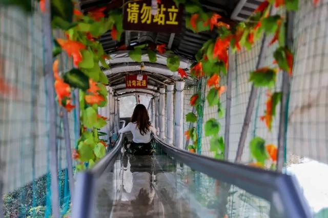 2026启新篇！来第三届东莞观音山平安迎新登高节，福气、好运收入