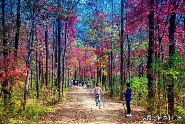 2025年赏秋去哪里？国内10条精华赏秋路线自驾地图攻略集合分享