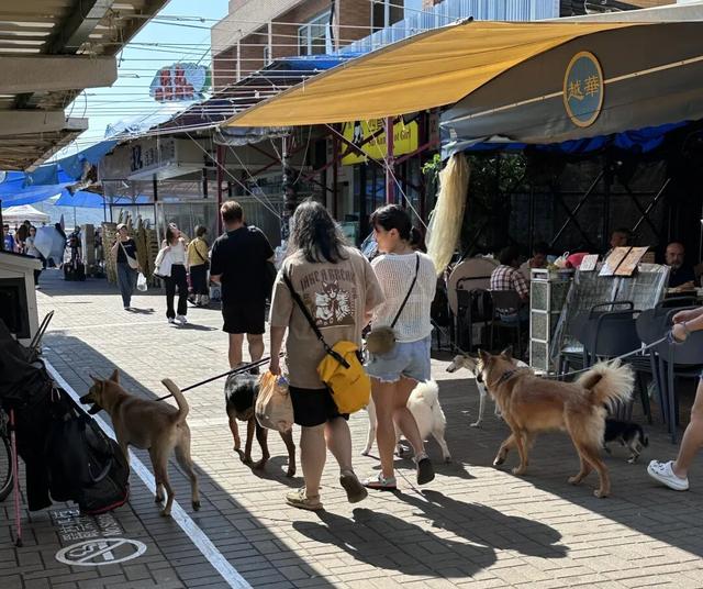 最好玩的香港，一定不在城里！
