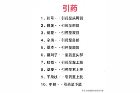 中医养生，5图看懂，30种常见引药及12经络常用引经药，建议收藏图片