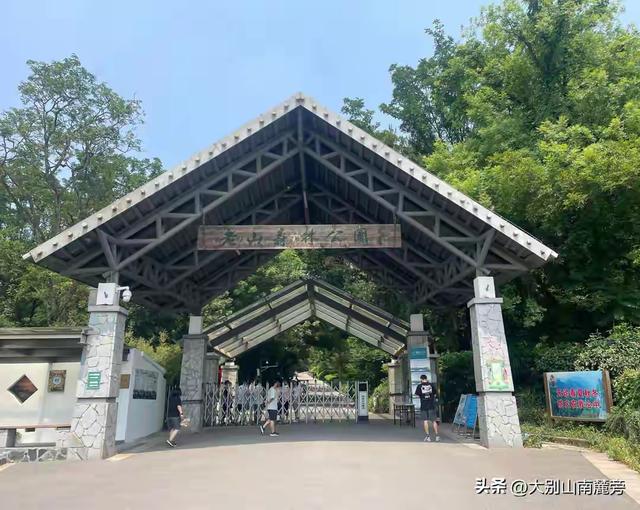 逃离都市热浪！南京老山森林公园超全攻略，承包你一日清凉与野趣