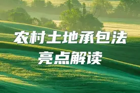 《土地承包法》明确规定 村委会无权将土地私自发包给外村人！图片
