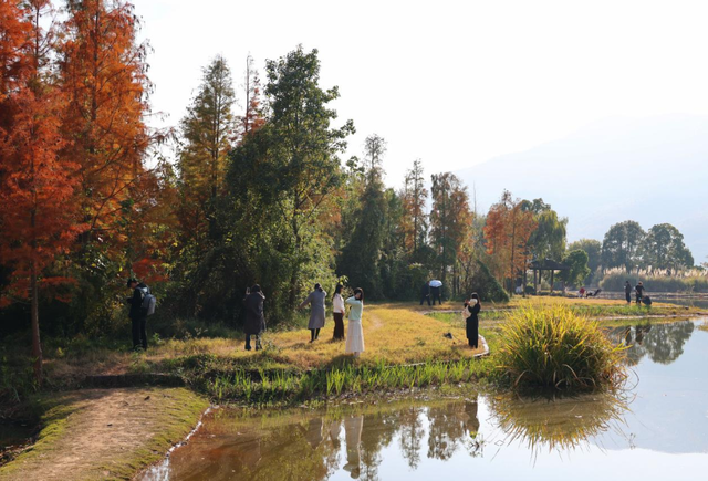 含“金”量还在上升！速冲→