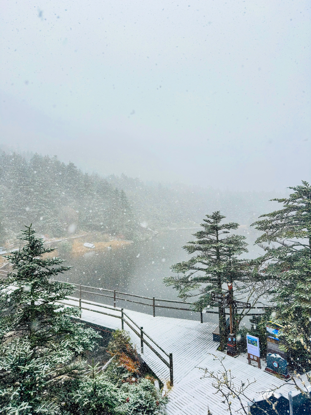 四川人盼初雪的心情谁懂！