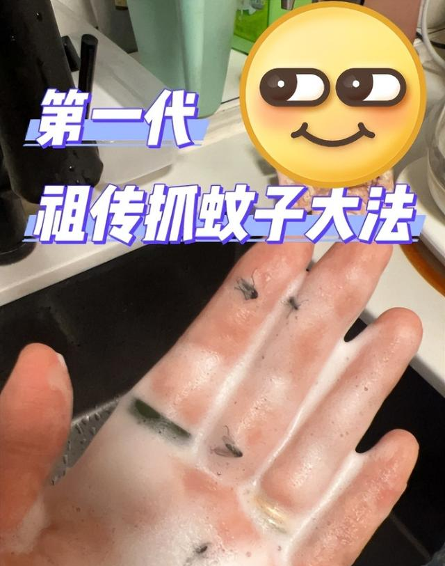蚊子最大的天敌，竟然不是蚊香？教你3个“土方法”，开窗都不怕