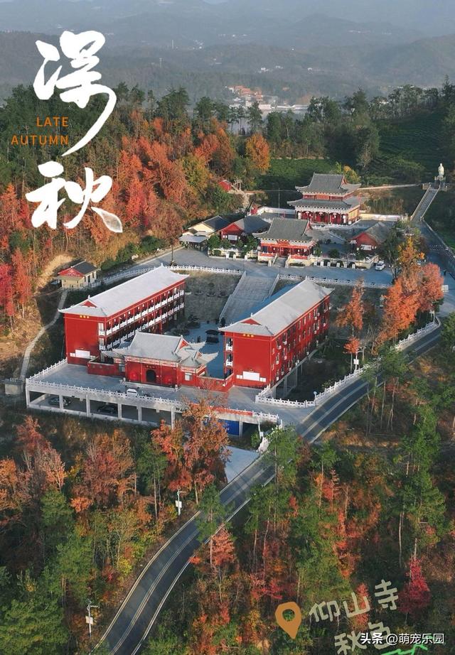 十一月底道观河，满山红叶如火海，湖心蝴蝶结美得让人窒息