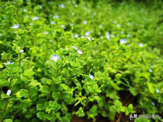 两性关系：男人搞女人，从古至今最有效的方法只有一个！