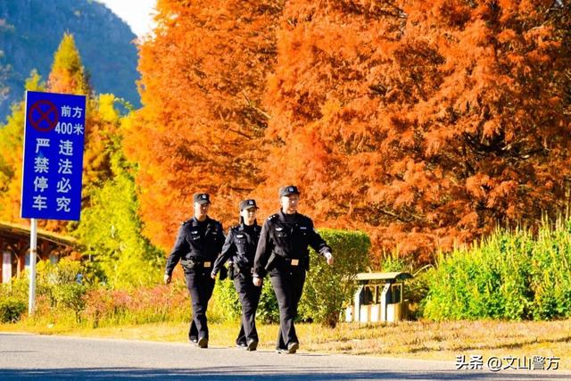 打卡文山最美秋冬，这份攻略千万别错过！