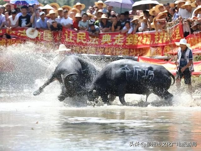 反向旅游赢麻了！国庆7天嗨玩三江清单，直接照抄！