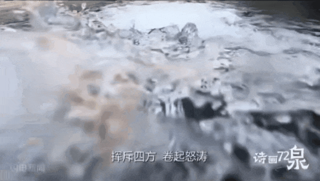 被济南泉水下的世界惊艳到了！