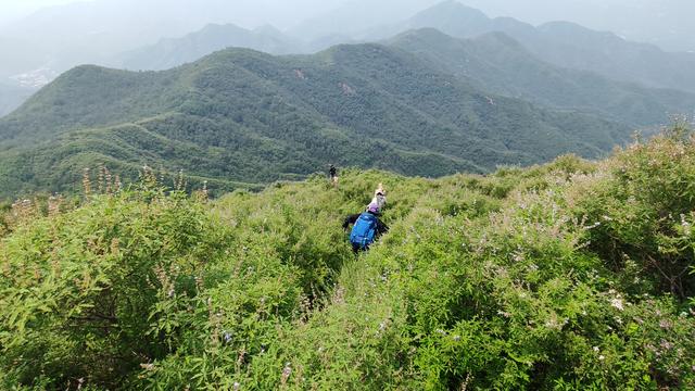 中伏天爬山体验，记石家庄鹿泉常河-北紫沟-南紫沟-南寨穿越