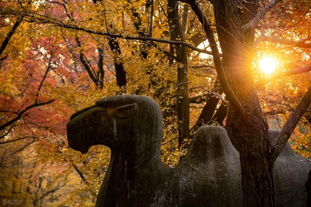 11月-12月错峰旅行，避开人潮，这8个地方，好风景正值最佳观赏期