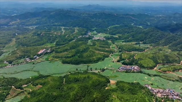 江西一座低调的古镇藏着50多幢明清豪宅，全球最大的莲花池就在此