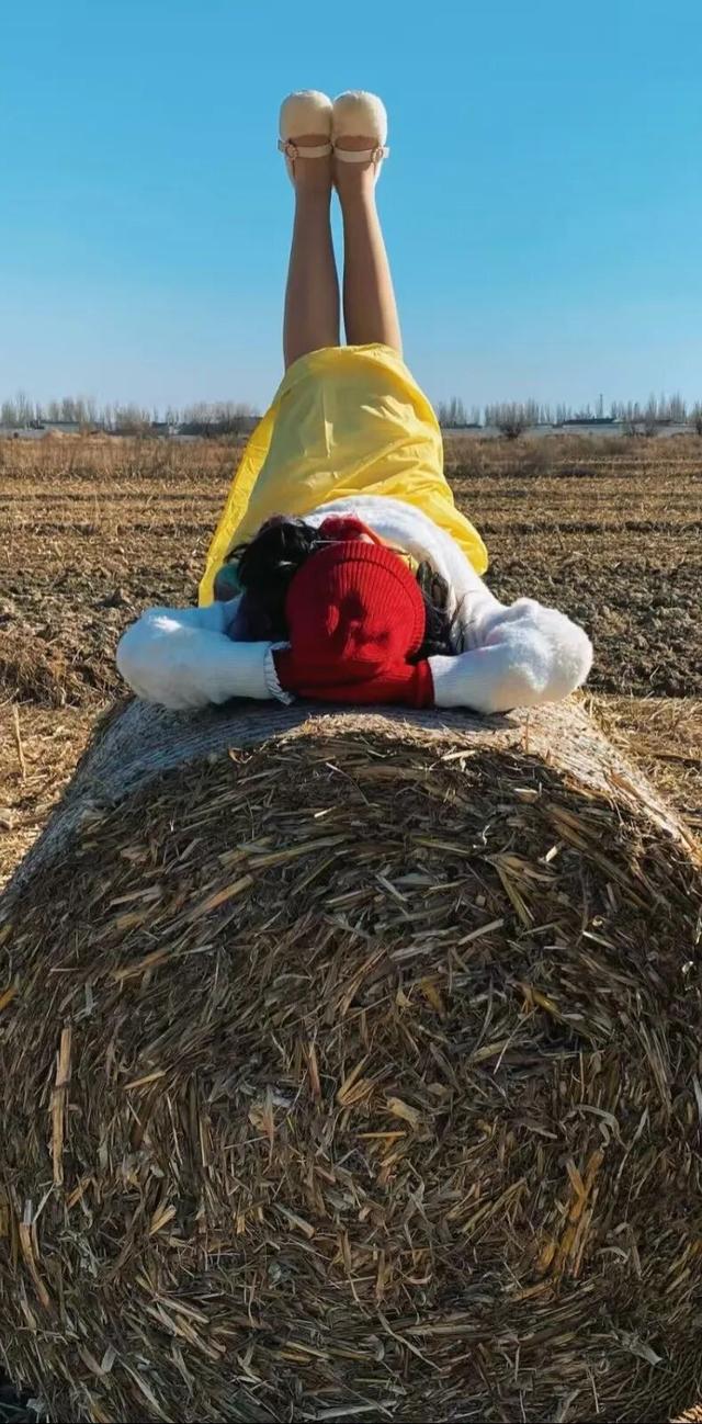 哇！赛汗塔拉里，好多好多“瑞士卷”