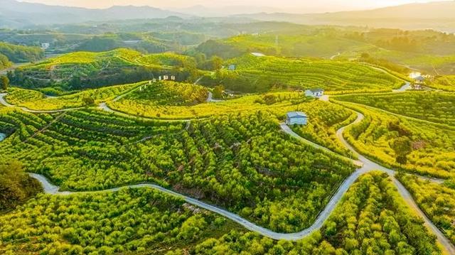 清新福建·五彩龙岩 | 青山焕彩绿满城