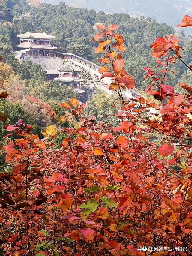香山红叶摄影进阶：必须掌握这6个实战技巧，张张出大片成顶流