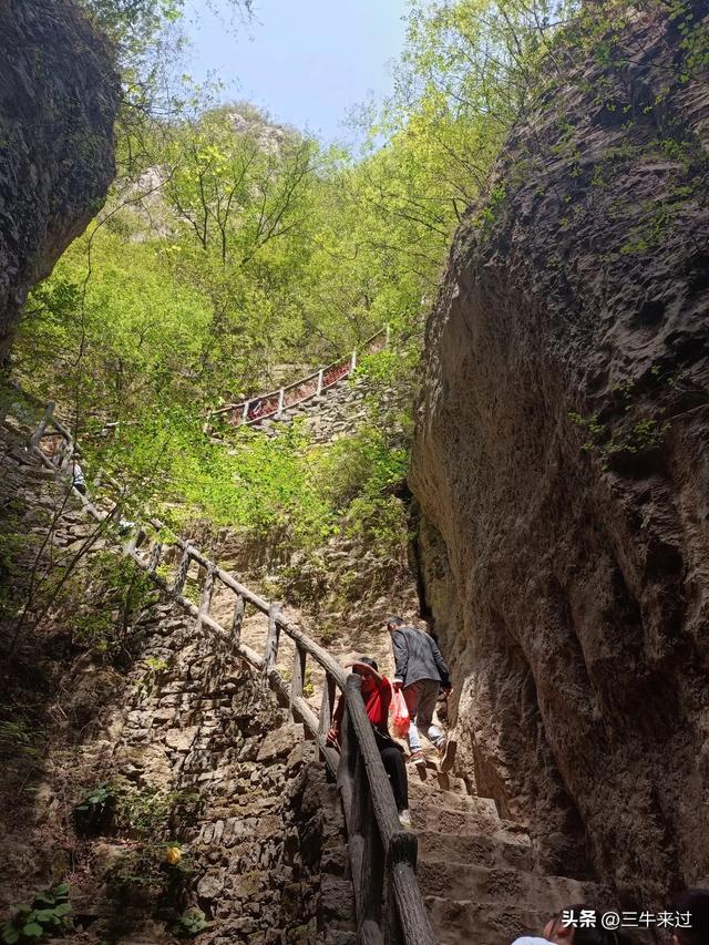 无为在歧路，武安涉县平顺临清（9）