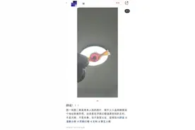 济南一漫展互赠零食中暗藏药物刀片？组委会：已报警，不排除有人制造恐慌图片