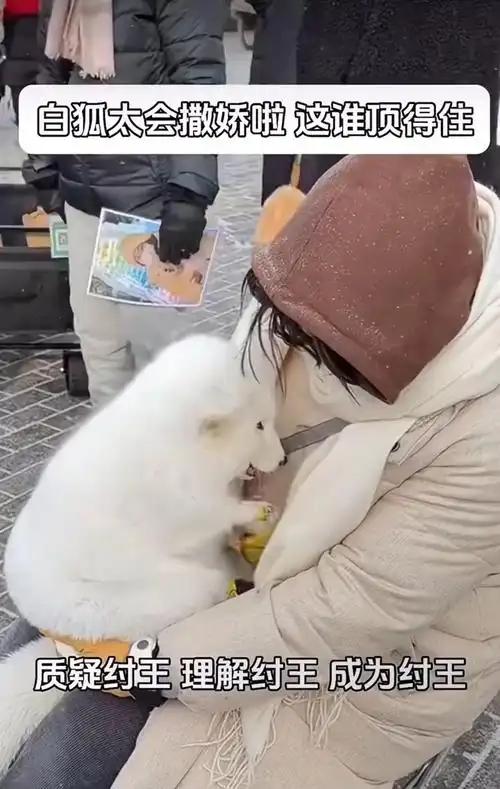 继尔滨后又一批受害者出现！天津：这样哄孩子的歌你从未对我唱过