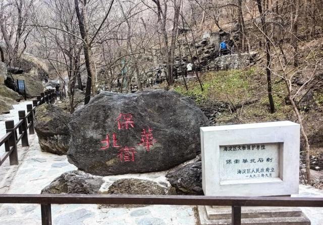 冬日樱桃沟：寒枝写意，尽是生机——探访一二·九运动纪念地有感