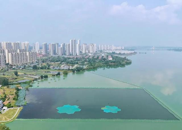 先“减”后“加”,后湖“界面”焕新!