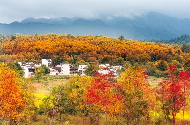 高铁直达！11月必去的6个宝藏小城，物价低又好玩，适合小住几天