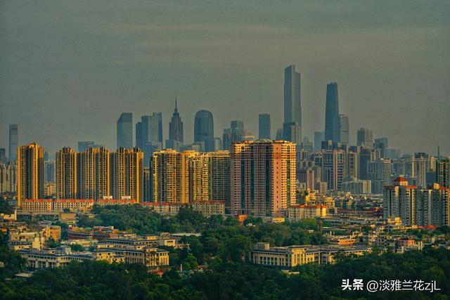重阳节，登高远望城市风光。