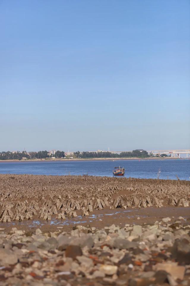 赶海、寻趣！来丰泽打卡这一抹海天蓝！