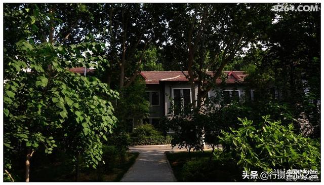山东行游影记（14）—济南山东大学（一）