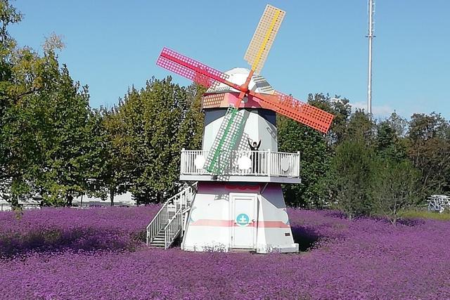 北京顺义国际鲜花港 梦幻的花海秘境